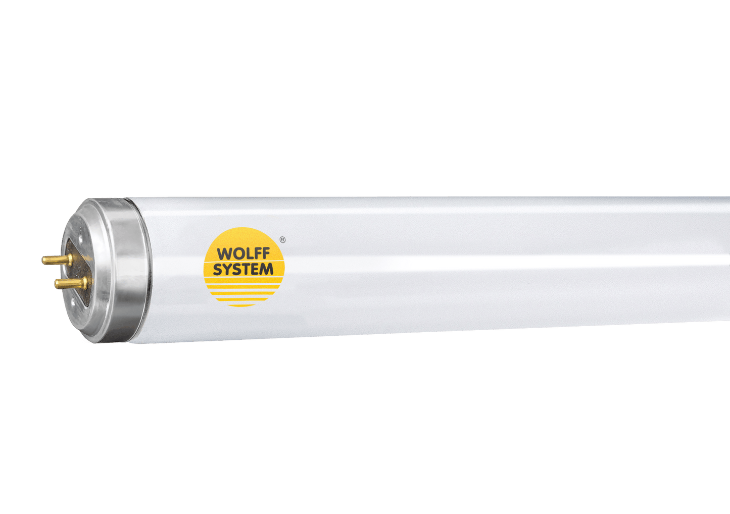 WOLFF SYSTEM Bellarium - single lamp