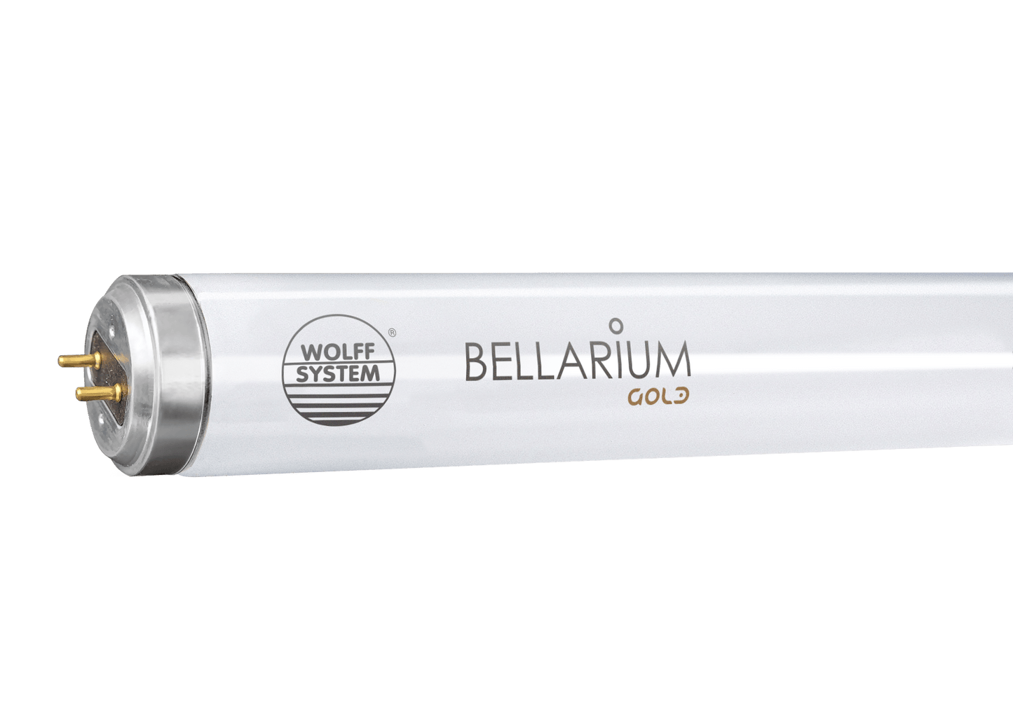 WOLFF SYSTEM Bellarium Gold